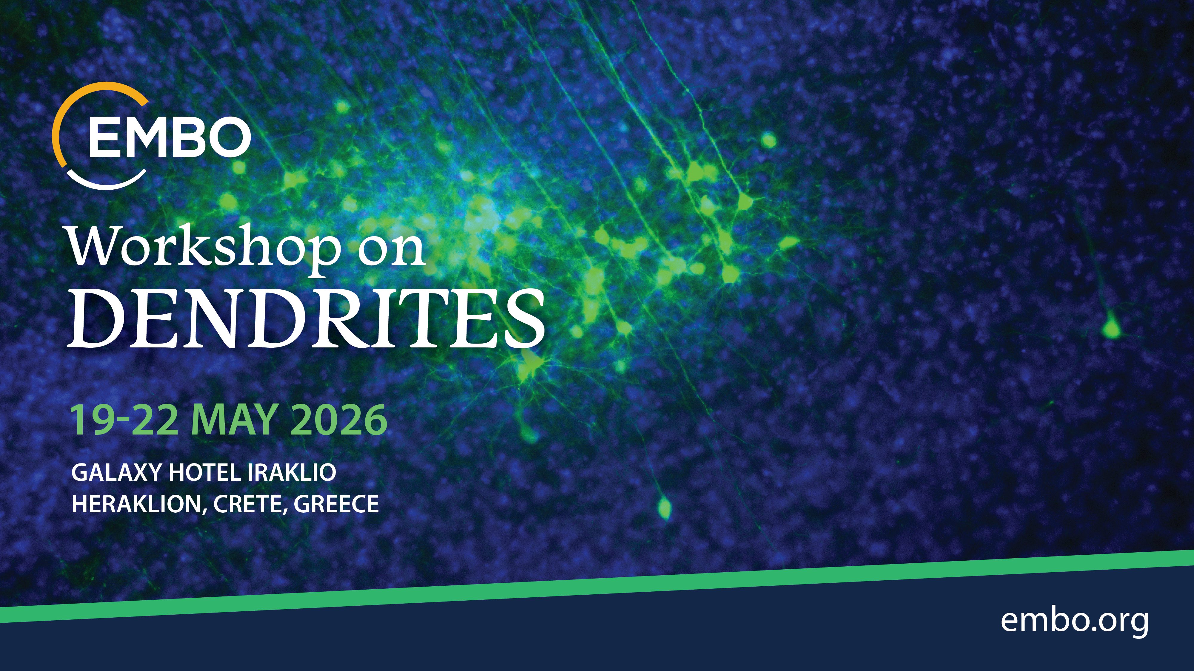 Embo 2026